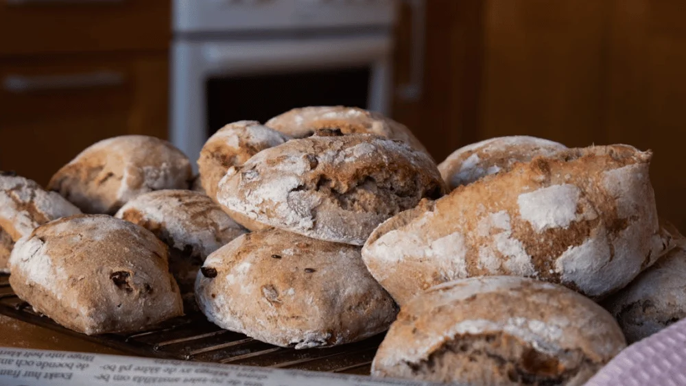 Tasty Sourdough discard buns