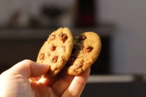 sourdough discard chocolate chip cookies