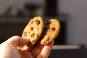 sourdough discard chocolate chip cookies