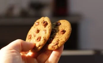 sourdough discard chocolate chip cookies