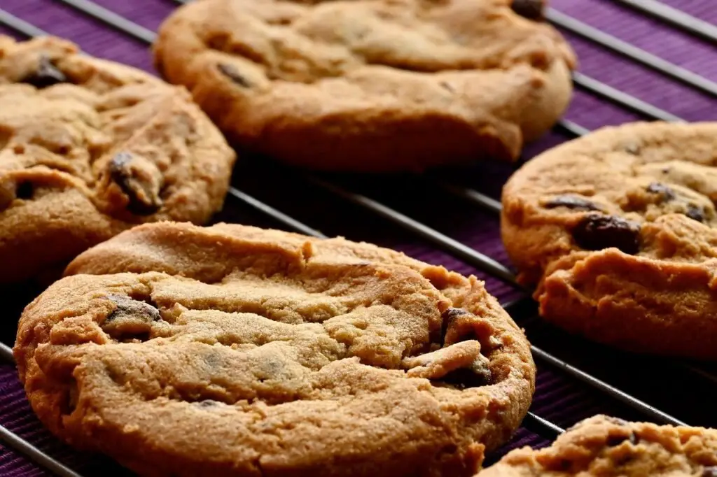 sourdough discard chocolate chip cookies