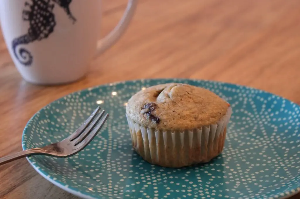 sourdough discard blueberry muffins