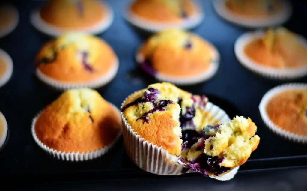 sourdough discard blueberry muffins