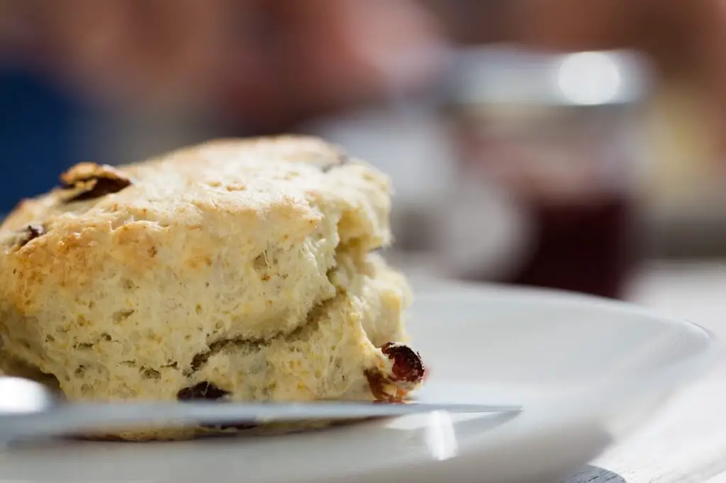 sourdough discard scone